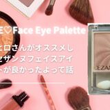 小田切ヒロさんがオススメしていたセザンヌフェイスアイパレットが良かったよって話