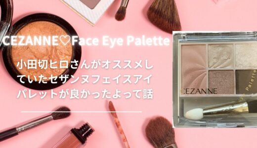 小田切ヒロさんがオススメしていたセザンヌフェイスアイパレットが良かったよって話